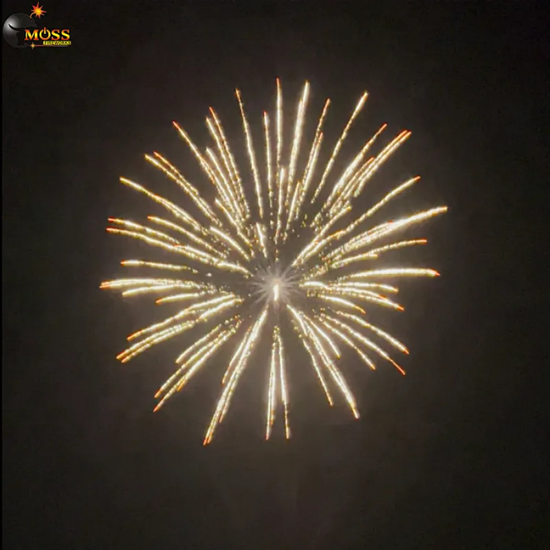 Sky Shot New Year Celebration Fire Crackers 4 Inch Shell Fireworks Salute Firework Display Shell Fireworks