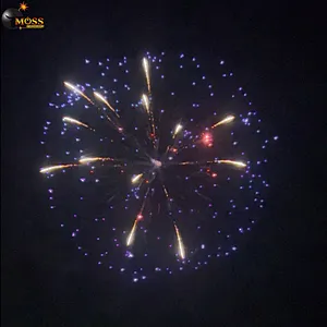 6 Inch Fireworks Shells Celebration Fire Crackers Pyrotechnics Fireworks Firecrackers Display Shell