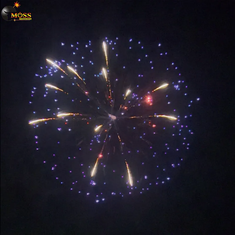 6 Inch Fireworks Shells Celebration Fire Crackers Pyrotechnics Fireworks Firecrackers Display Shell
