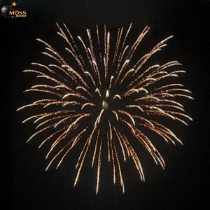 Wholesale Display Shell Celebration Fire Crackers Pyrotechnics 4 Inch Shell Fireworks