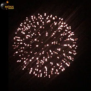 6 Inch Display Fireworks Shells Chinese Fireworks Display Shell Celebration Fire Crackers Pyrotechnics