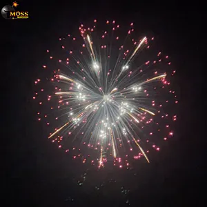 Fireworks 6 Inch Display Shells for Sale Crackers Fireworks New Year Wedding Firecrackers