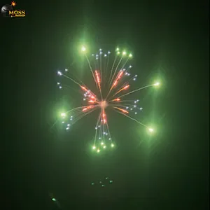 Wholesale Display Shell Wedding Firecrackers New Year Pyrotechnics 5 Inch Fireworks Shells Fireworks