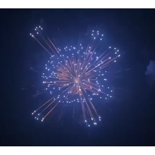 Display Fireworks Display Shell 6 Inch Salute Shells Celebration Fire Crackers Pyrotechnics