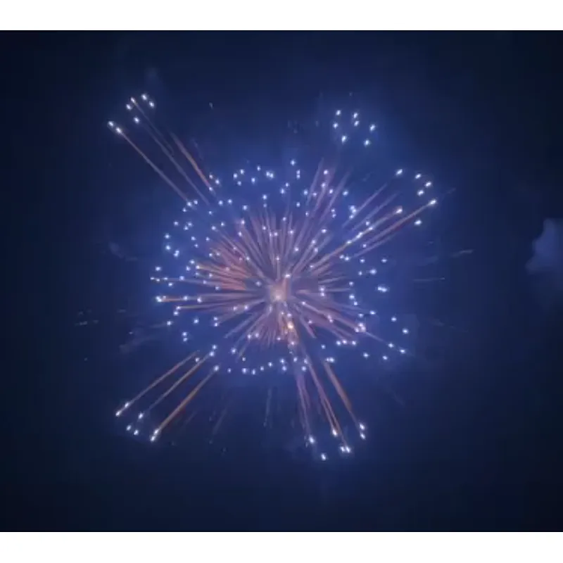 Display Fireworks Display Shell 6 Inch Salute Shells Celebration Fire Crackers Pyrotechnics