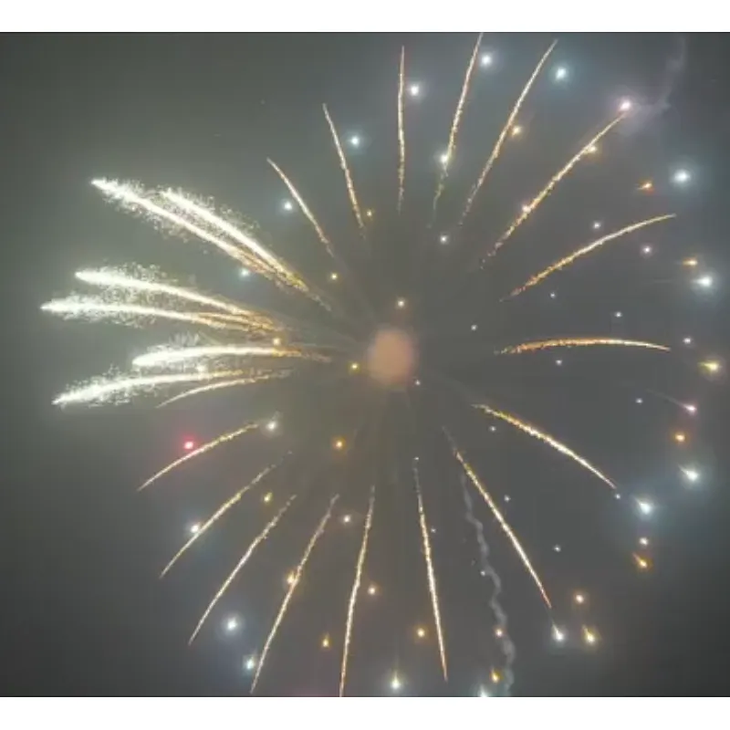 6 Inch Display Shells Fireworks Celebration Fire Crackers Pyrotechnics