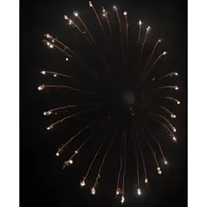 6 Inch Display Shells Fireworks Celebration Fire Crackers Pyrotechnics