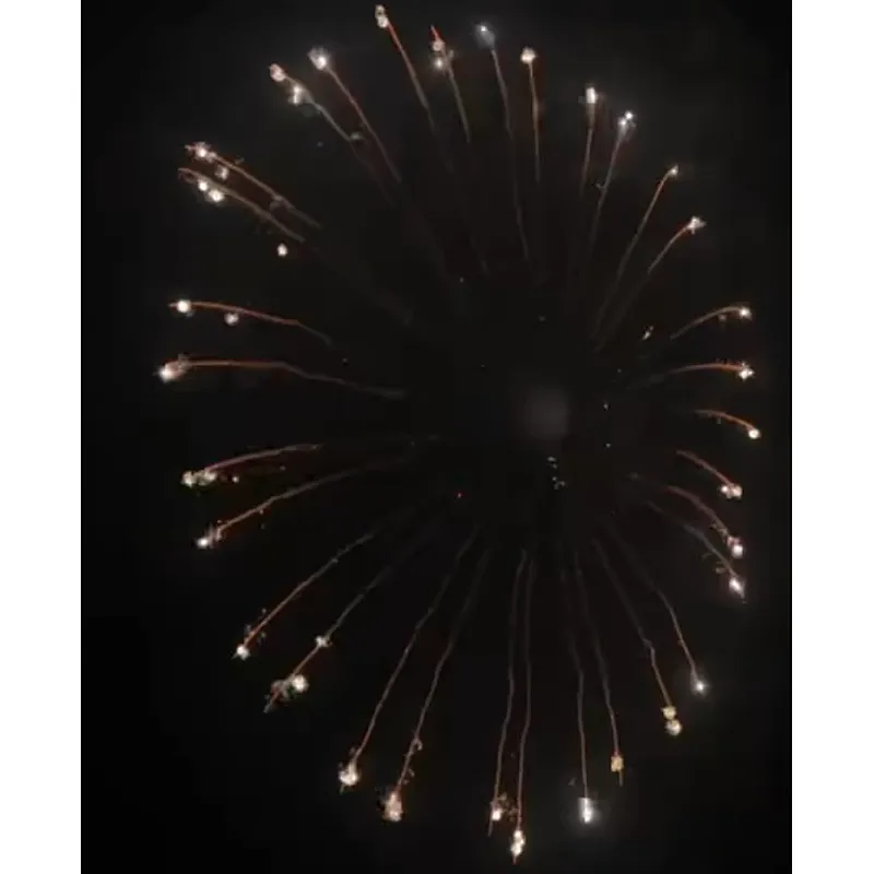 6 Inch Display Shells Fireworks Celebration Fire Crackers Pyrotechnics