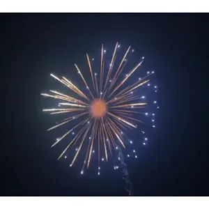 6 Inch Display Shells Fireworks Celebration Fire Crackers Pyrotechnics