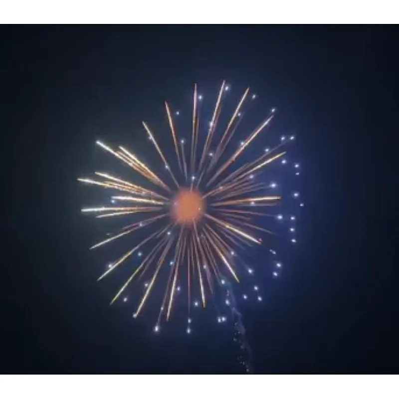 6 Inch Display Shells Fireworks Celebration Fire Crackers Pyrotechnics