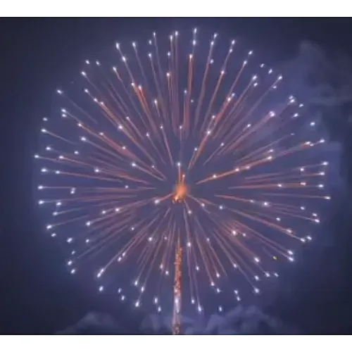 6 Inch Display Shells  Fireworks Celebration Fire Crackers Pyrotechnics