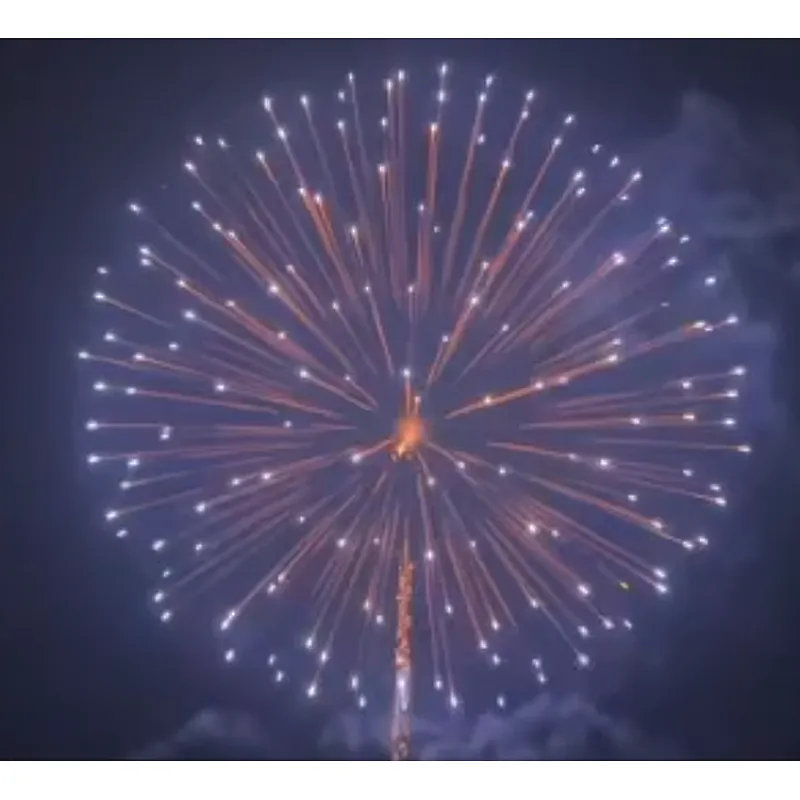 6 Inch Display Shells  Fireworks Celebration Fire Crackers Pyrotechnics