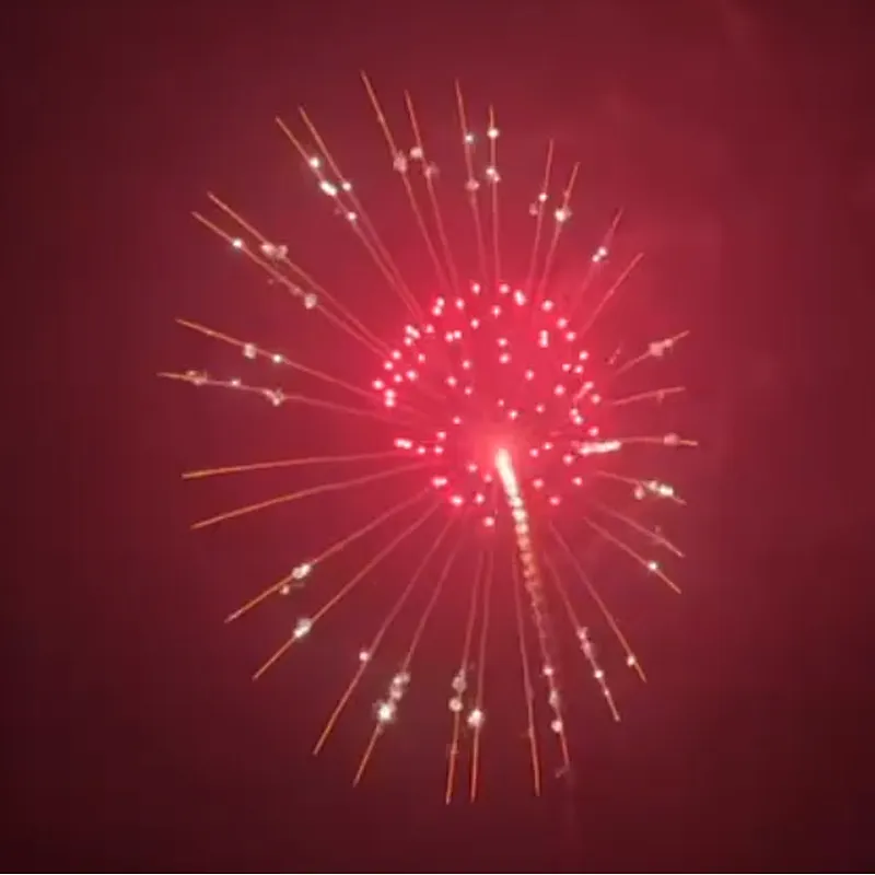 6 Inch Display Shells Fireworks Celebration Fire Crackers Pyrotechnics