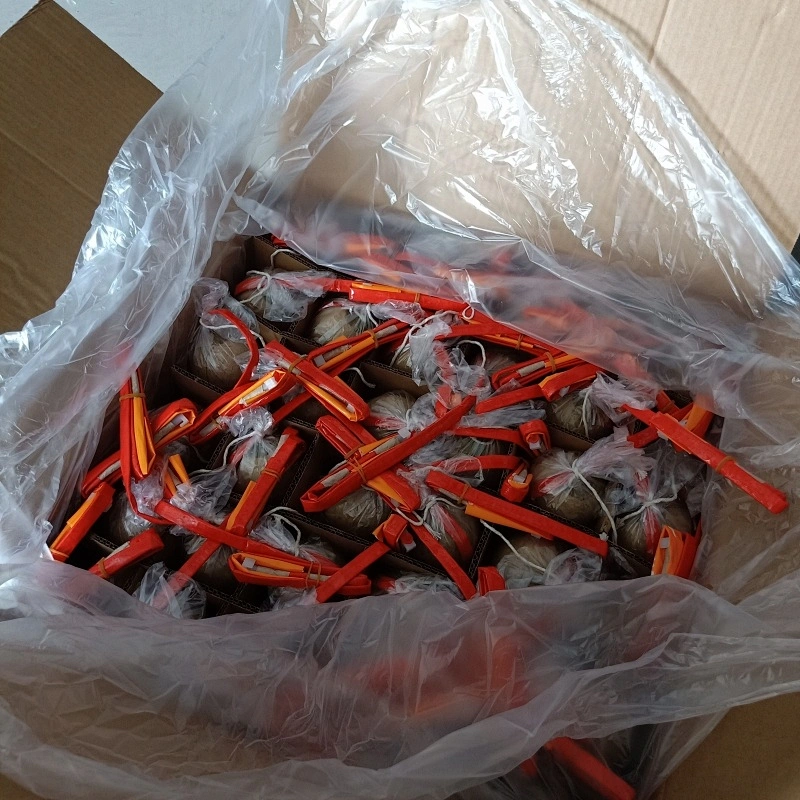 Display Fireworks Display Shell 6 Inch Salute Shells Celebration Fire Crackers Pyrotechnics