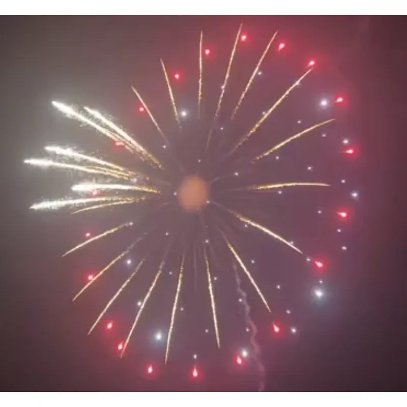 6 Inch Display Shells Fireworks Celebration Fire Crackers Pyrotechnics