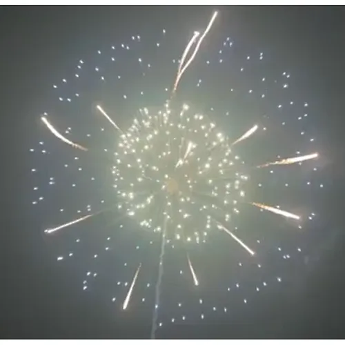6 Inch Display Shells Fireworks Celebration Fire Crackers Pyrotechnics
