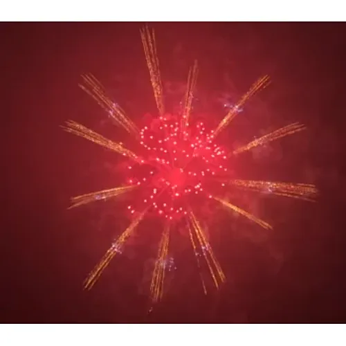 Display Fireworks Display Shell 6 Inch Salute Shells Celebration Fire Crackers Pyrotechnics