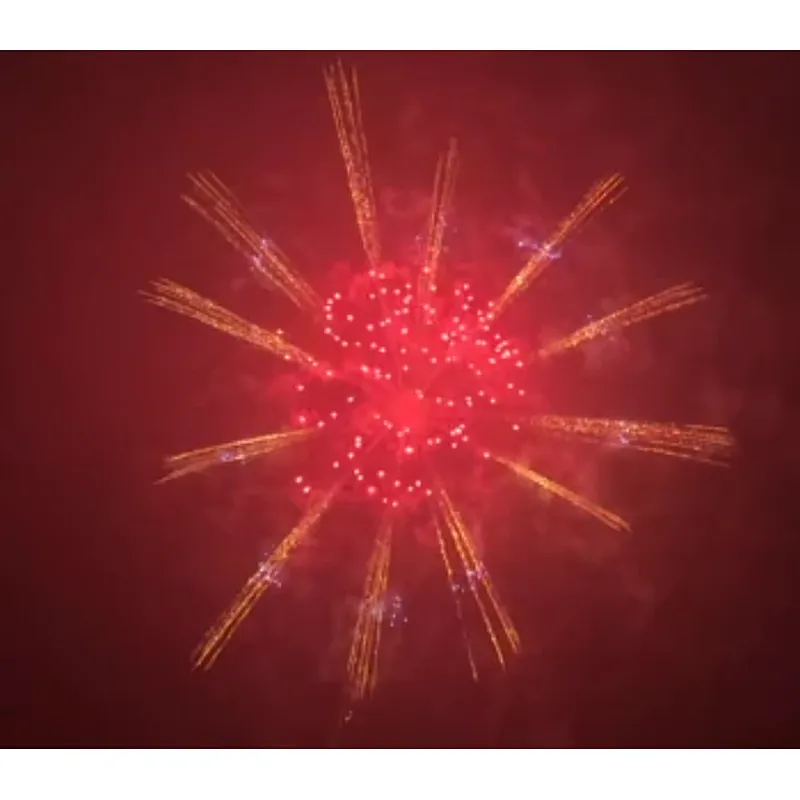 Display Fireworks Display Shell 6 Inch Salute Shells Celebration Fire Crackers Pyrotechnics