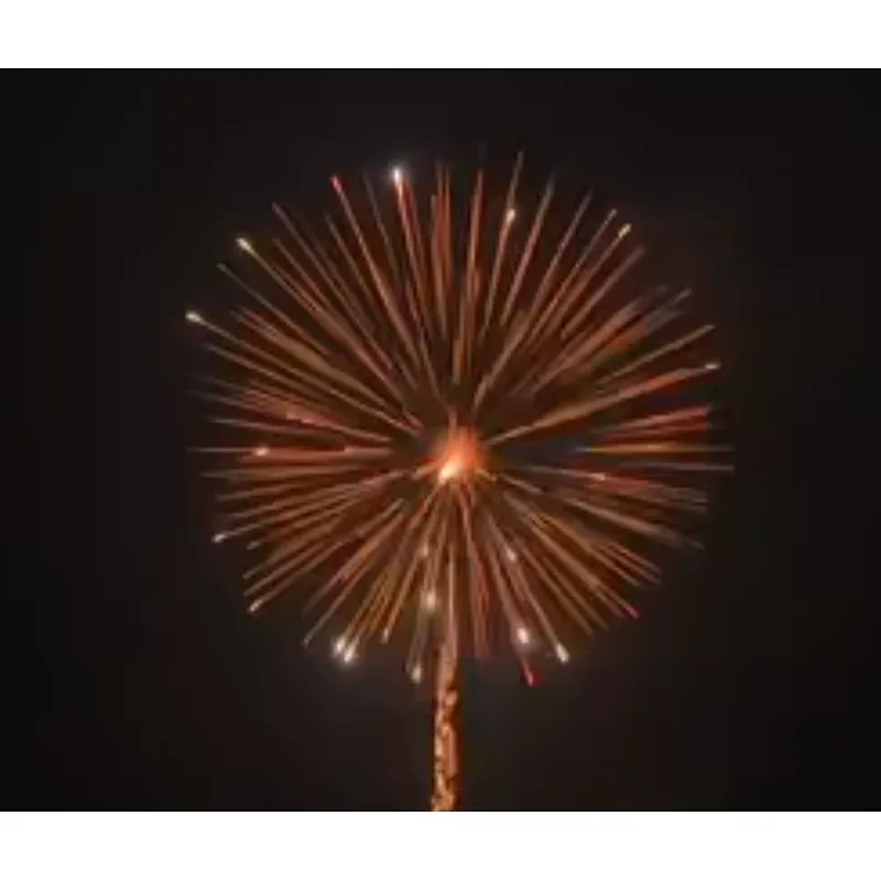 6 Inch Display Shells  Fireworks Celebration Fire Crackers Pyrotechnics