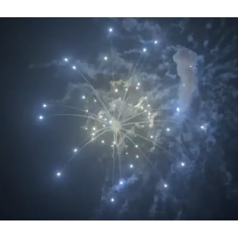 6 Inch Display Shells Fireworks Celebration Fire Crackers Pyrotechnics
