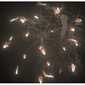 6 Inch Display Shells Fireworks Celebration Fire Crackers Pyrotechnics