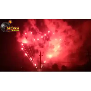 fashionable vuurwerk feuerwerke heart shape 1.2