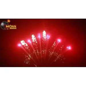 Chinese Fireworks Professional Quality 1.2