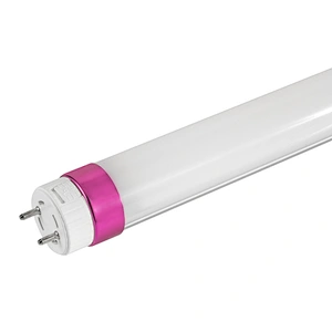 EVG Compatible