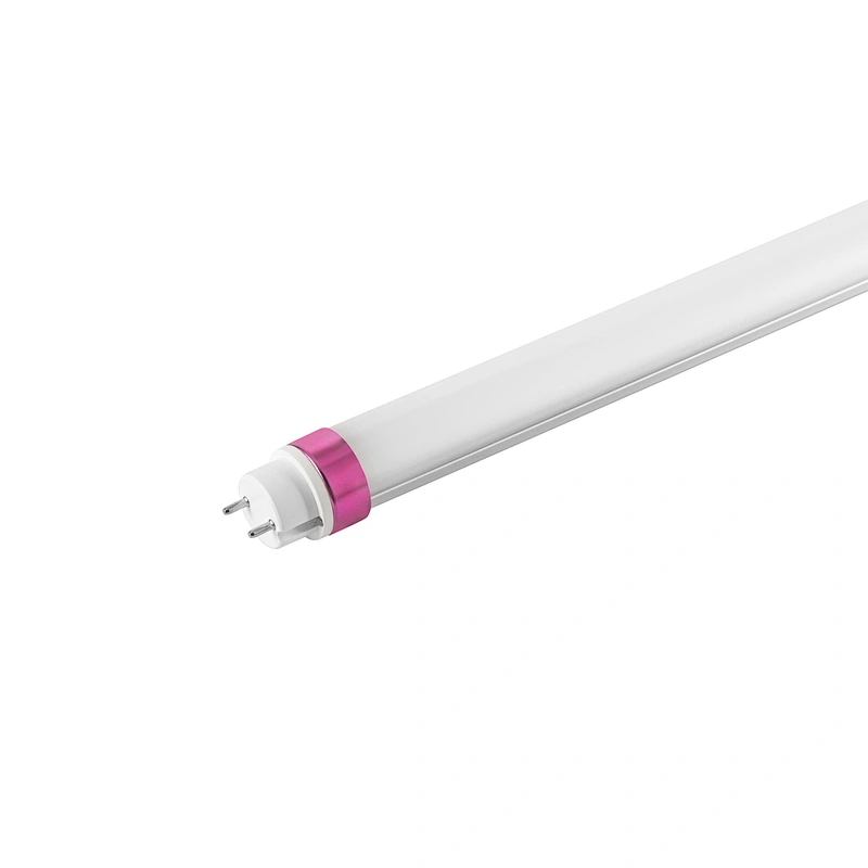 EVG Compatible