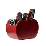remote control caddy