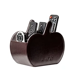remote control caddy