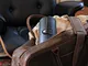 watch boxes for men