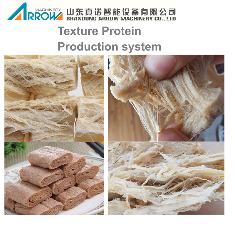 China Soya TSP Process Meat Extruder