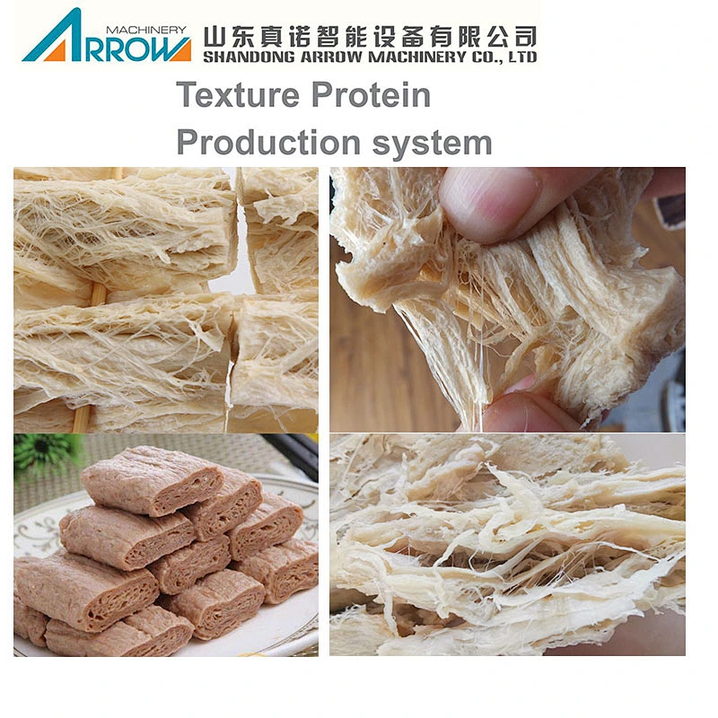 China Soya TSP Process Meat Extruder