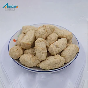 China Substitute Meat Extruder Machines