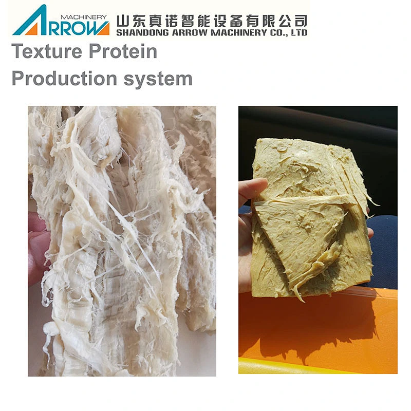 China High Moisture Meat Analogue Production Line
