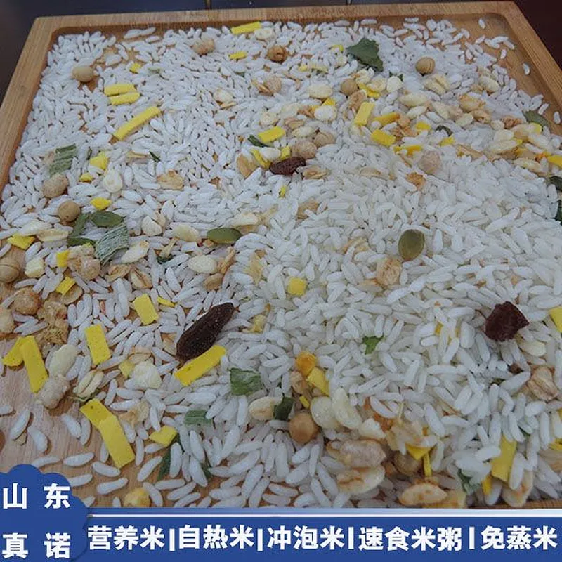 Nutrition/Enriched/Instant/Artificial Rice Process Line