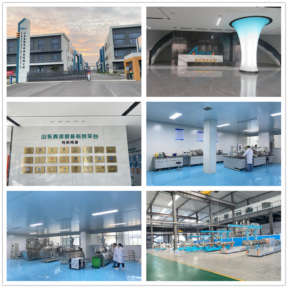 chips snacks flakes food making machine