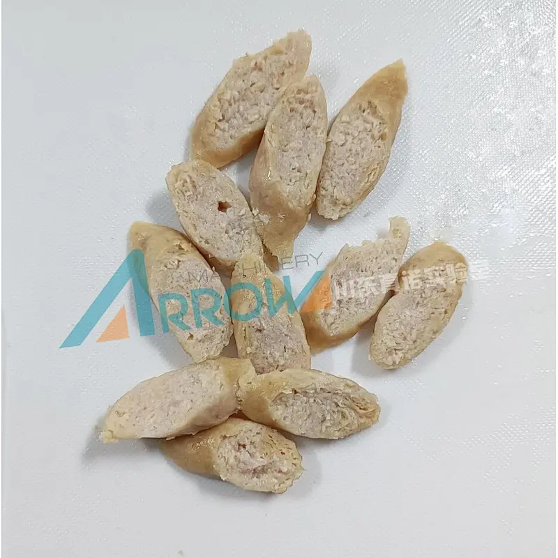 Plant Protein Based Wet (Hmma) Tvp Production System