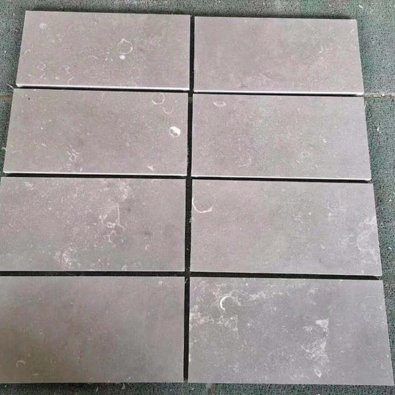 Natural Seashell Grey marble slabs and tiles for flooring