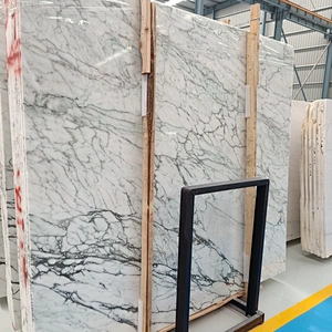 Newest White Marble Cut to Size Flooring Tiles and Slabs
