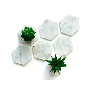 natural white marble hexagon coaster