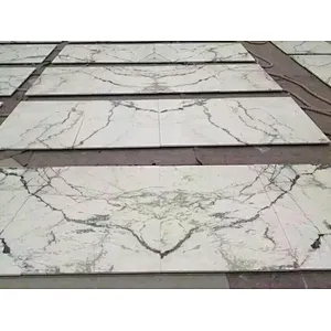 Hot Sale  Light green marble slab with natural veins cut to size