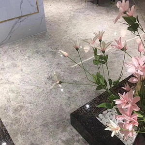 Natural Dora Grey marble slabs and tiles for floor
