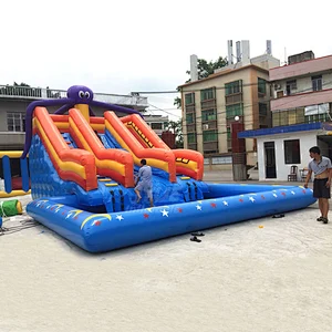 Amusement Equipment Small Dolphin Inflatable Water Slide For Above Ground Pool