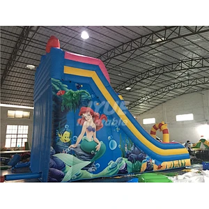 Outdoor Indoor Inflatable Dry Slide For Sale , Commercial Inflatable Small Slide