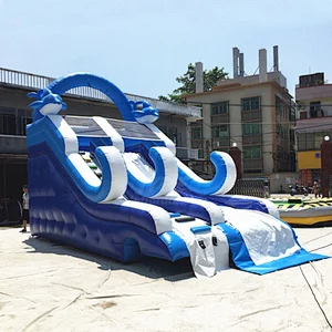 Amusement Equipment Small Dolphin Inflatable Water Slide For Above Ground Pool