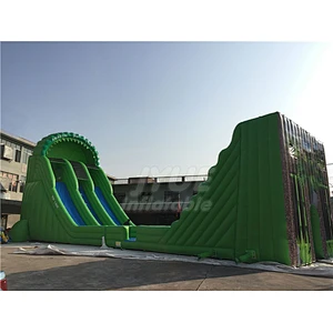 Amazon Inflatable double line Zip Line