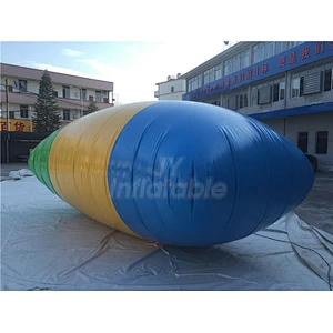 Jumping Pillow Lake Game PVC Inflatable Catapult Water Sports The Blob for Sale
