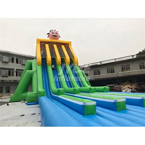 Commercial Four Lane Water Slide Price Inflatable Comercial Inflatable Water Slide Clearance For Kids And Adults